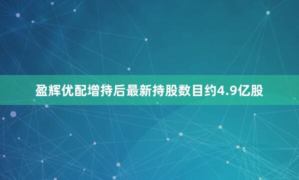 盈辉优配增持后最新持股数目约4.9亿股