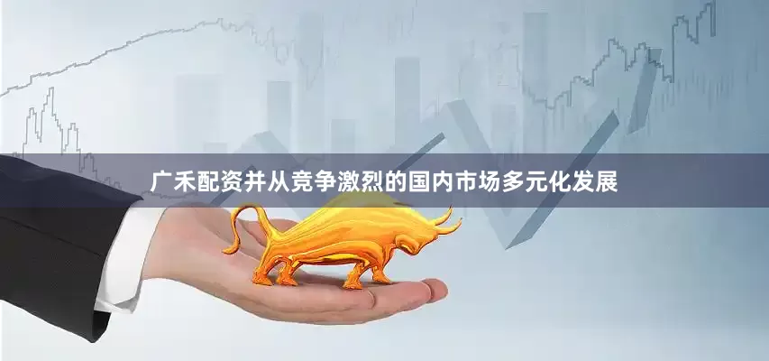广禾配资并从竞争激烈的国内市场多元化发展