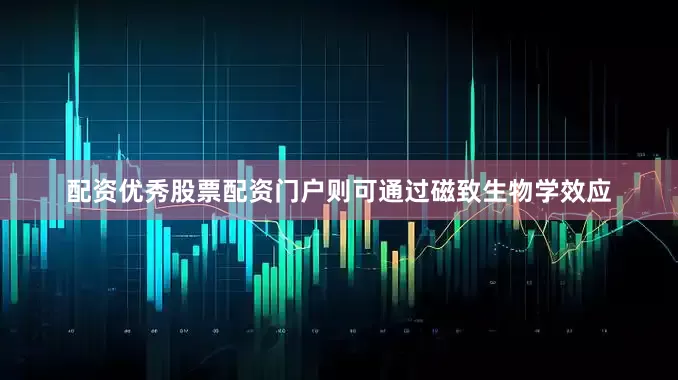 配资优秀股票配资门户则可通过磁致生物学效应