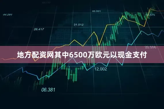 地方配资网其中6500万欧元以现金支付