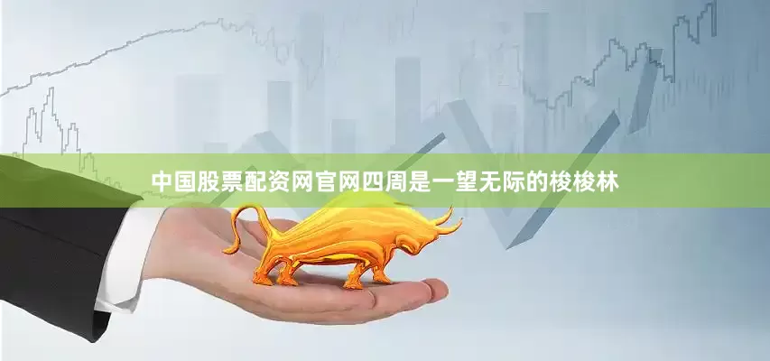 中国股票配资网官网四周是一望无际的梭梭林